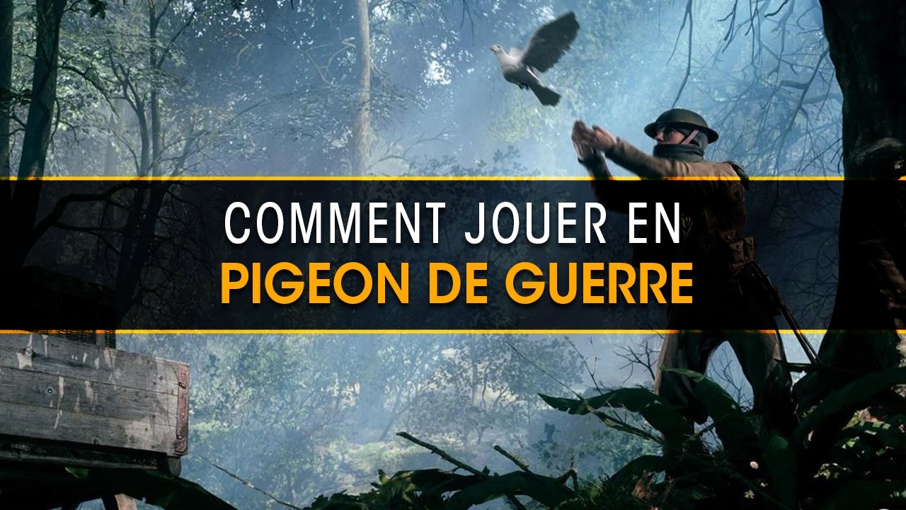 bien-jouer-en-mode-pigeon-de-guerre-sur-battlefield-1