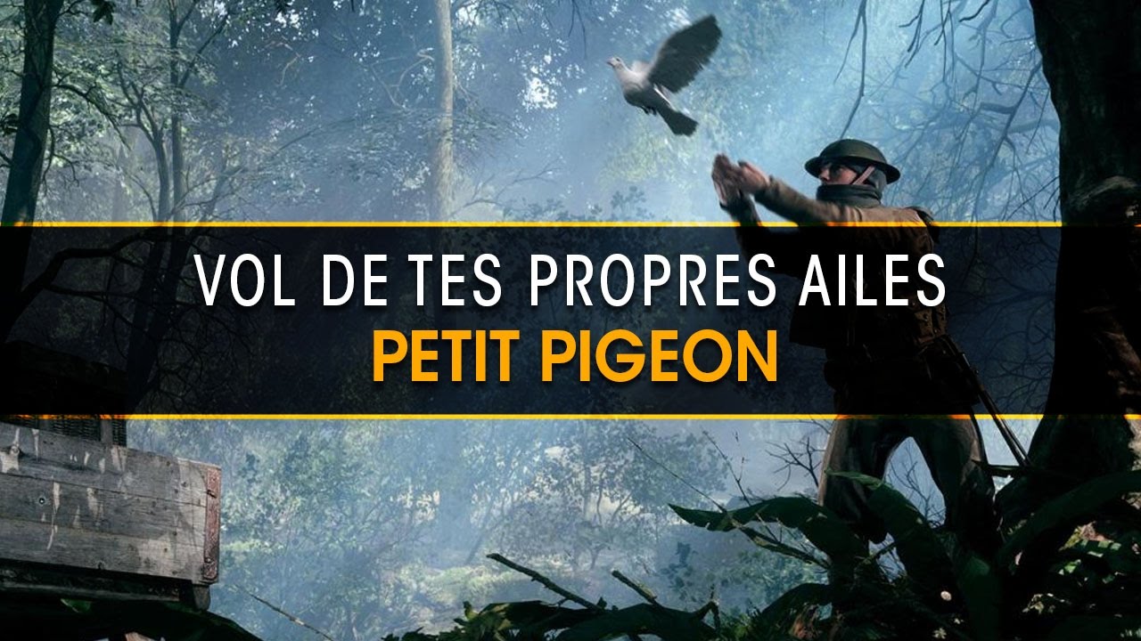 vol-de-tes-propres-ailes-petit-pigeon-battlefield-1